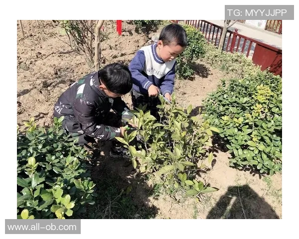 威尔逊谈富勒姆遭遇不公判罚希望未来能有所改善